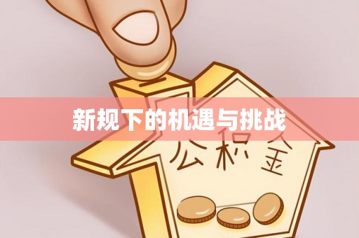 汉阴新规下的机遇与挑战