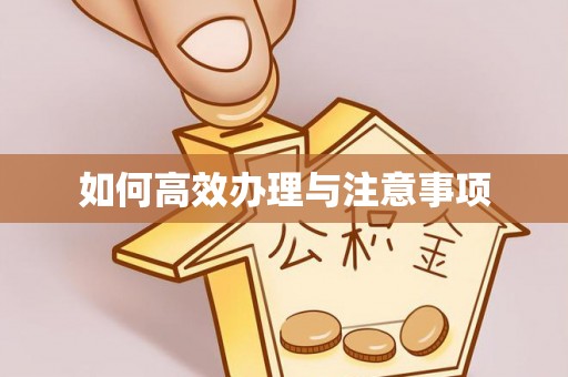 汉阴如何高效办理与注意事项