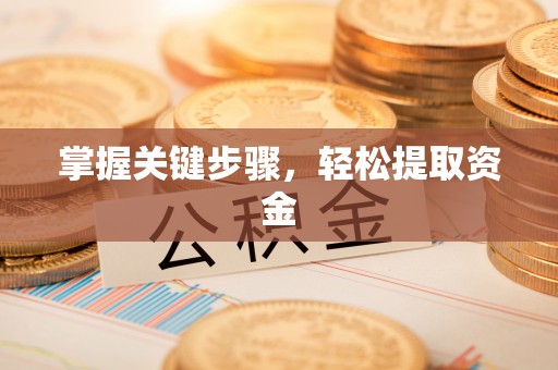 汉阴掌握关键步骤，轻松提取资金