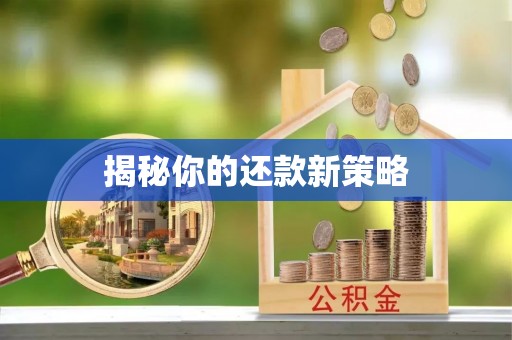 汉阴揭秘你的还款新策略