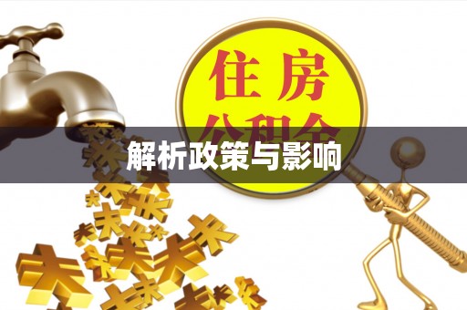 汉阴解析政策与影响