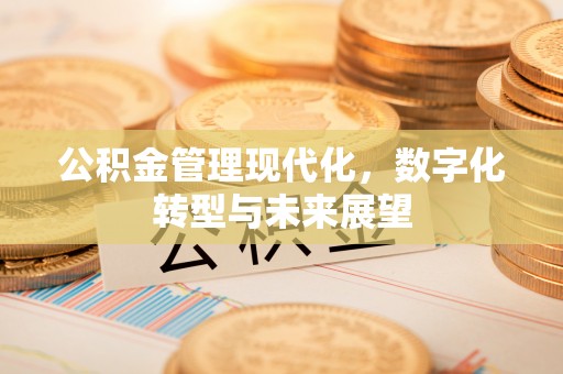 汉阴公积金管理现代化，数字化转型与未来展望