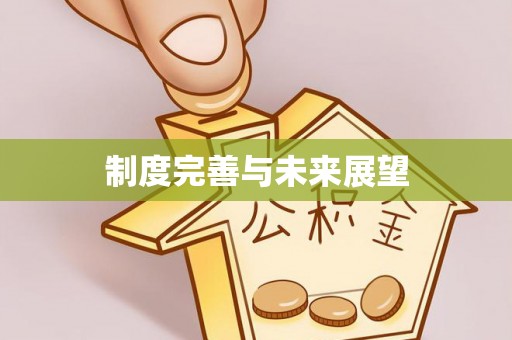 汉阴制度完善与未来展望