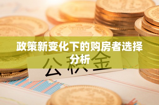 汉阴政策新变化下的购房者选择分析
