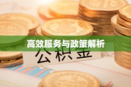 汉阴高效服务与政策解析
