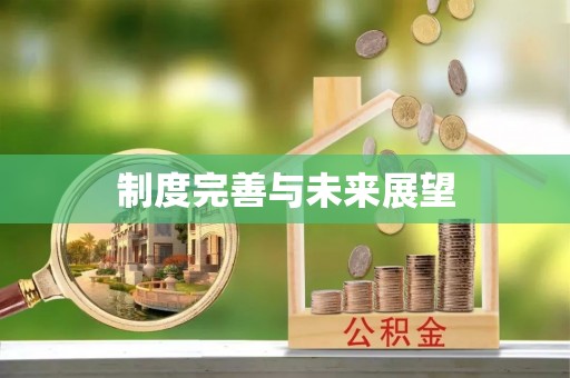 汉阴制度完善与未来展望