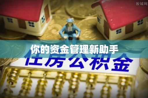 汉阴你的资金管理新助手