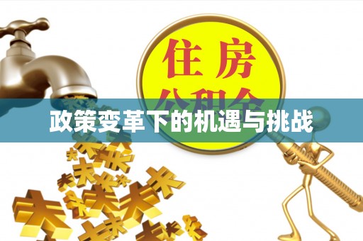 汉阴政策变革下的机遇与挑战