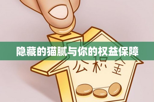 汉阴隐藏的猫腻与你的权益保障