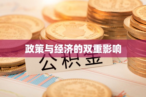 汉阴政策与经济的双重影响
