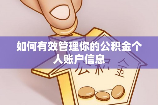 汉阴如何有效管理你的公积金个人账户信息
