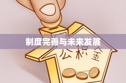 汉阴制度完善与未来发展
