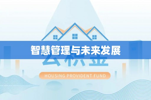 汉阴智慧管理与未来发展