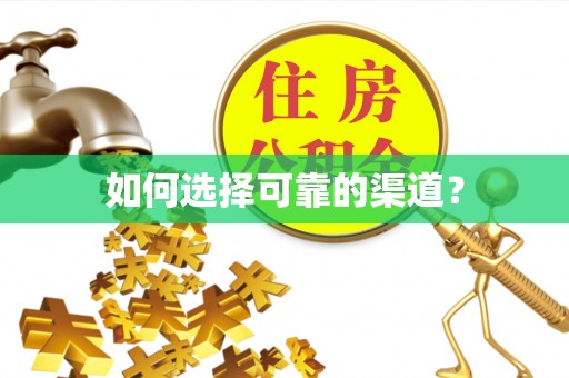 汉阴如何选择可靠的渠道？