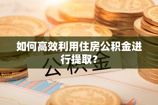 汉阴如何高效利用住房公积金进行提取？