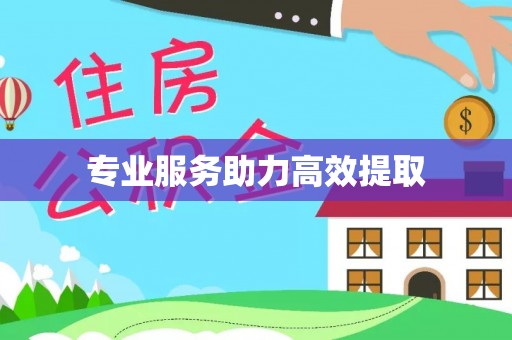 汉阴专业服务助力高效提取