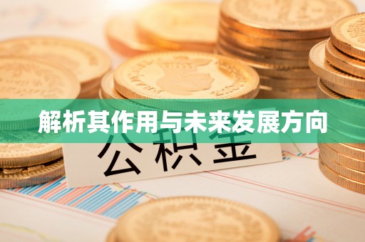 汉阴解析其作用与未来发展方向
