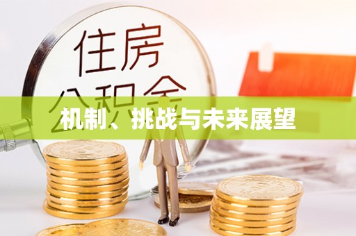 汉阴机制、挑战与未来展望