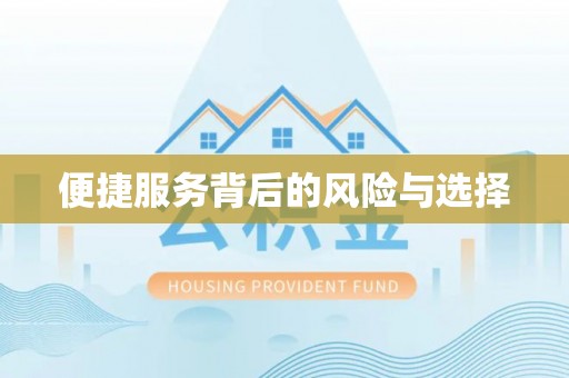 汉阴便捷服务背后的风险与选择