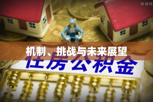 汉阴机制、挑战与未来展望