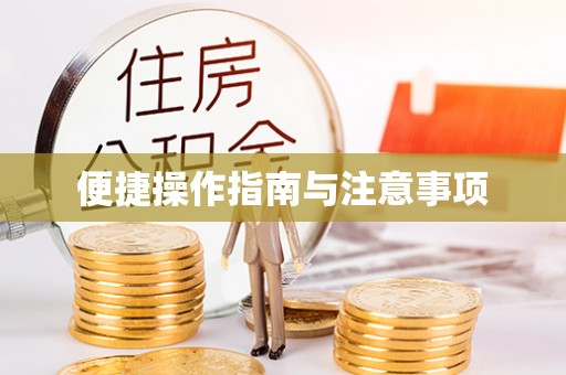汉阴便捷操作指南与注意事项