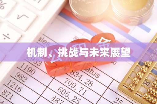 汉阴机制、挑战与未来展望